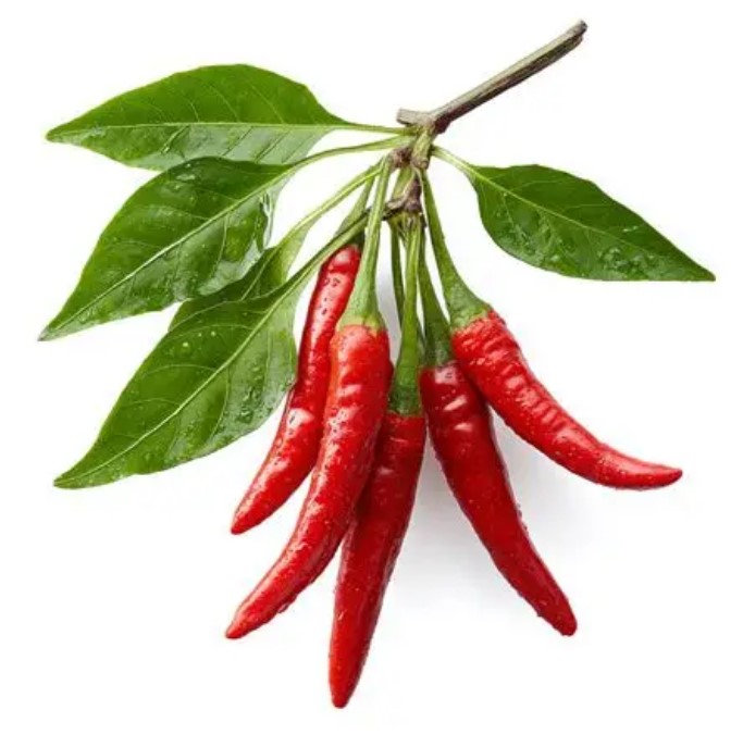 sleemaxtin lada cayenne