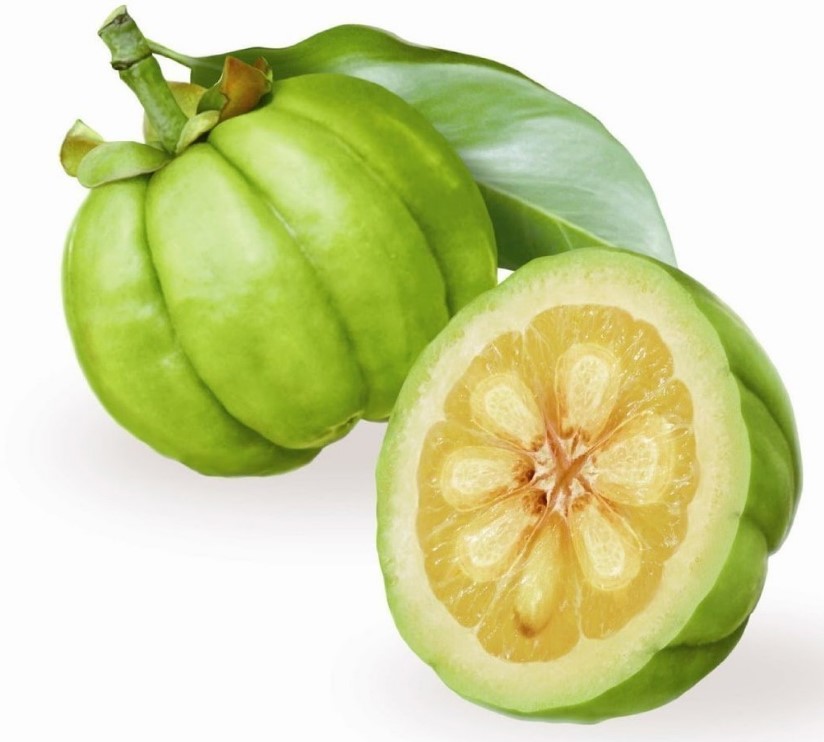 sleemaxtin garcinia cambogia