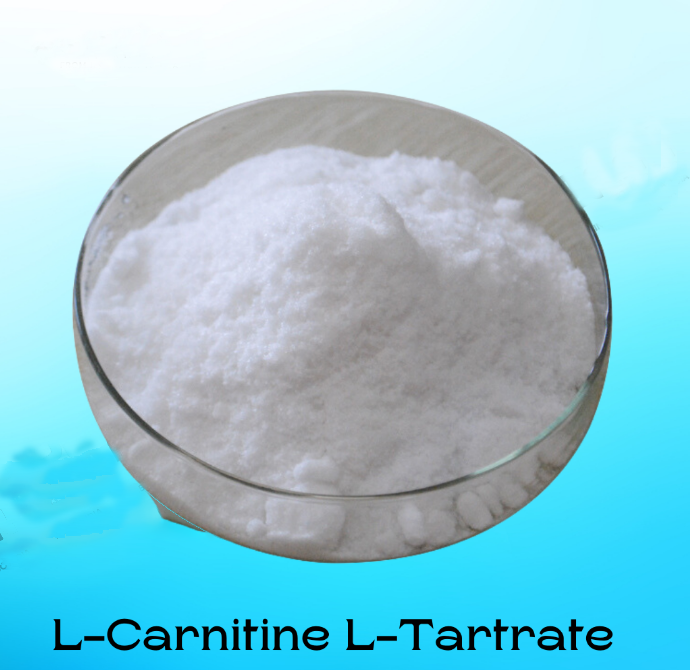 sleemaxtin l-carnitine